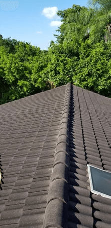 Roof Cleaning Broward