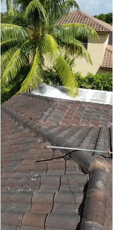 Roof Cleaning Miami