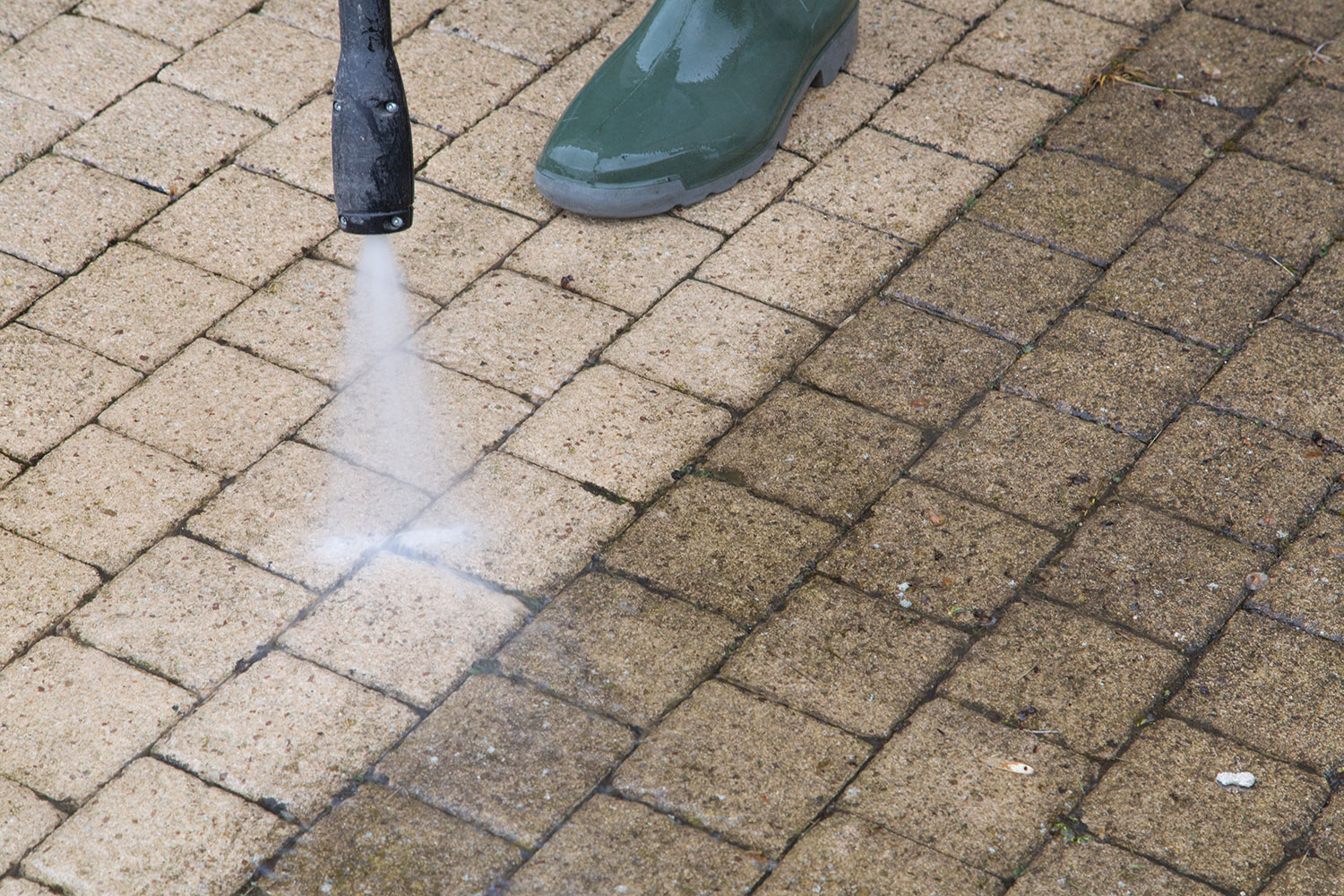 Fast and Affordable Roof Cleaning