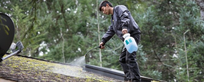 Cleaning a roof